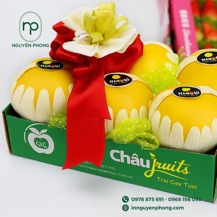 Top-5-cong-ty-in-khay-hoa-qua-gia-re-TPHCM